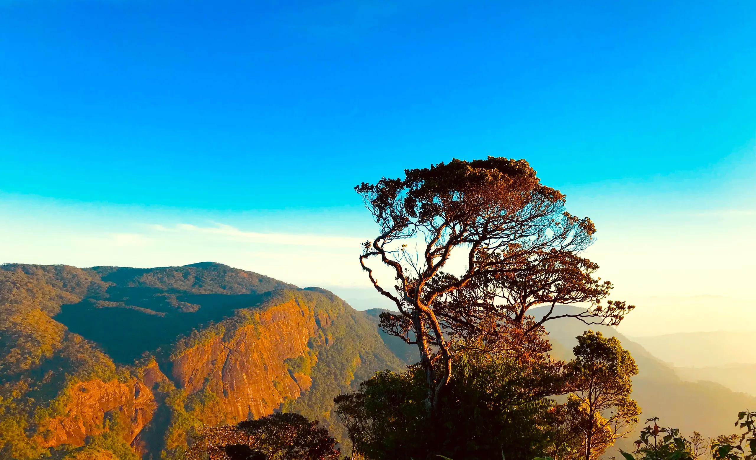 Morning view from the central mountains